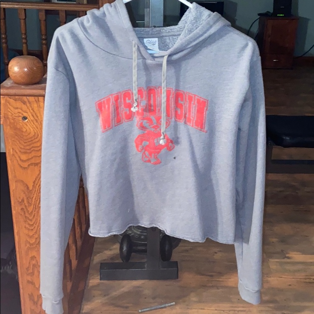 Cropped University of Wisconsin Hoodie
